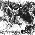 ...Into the Awaken Wood